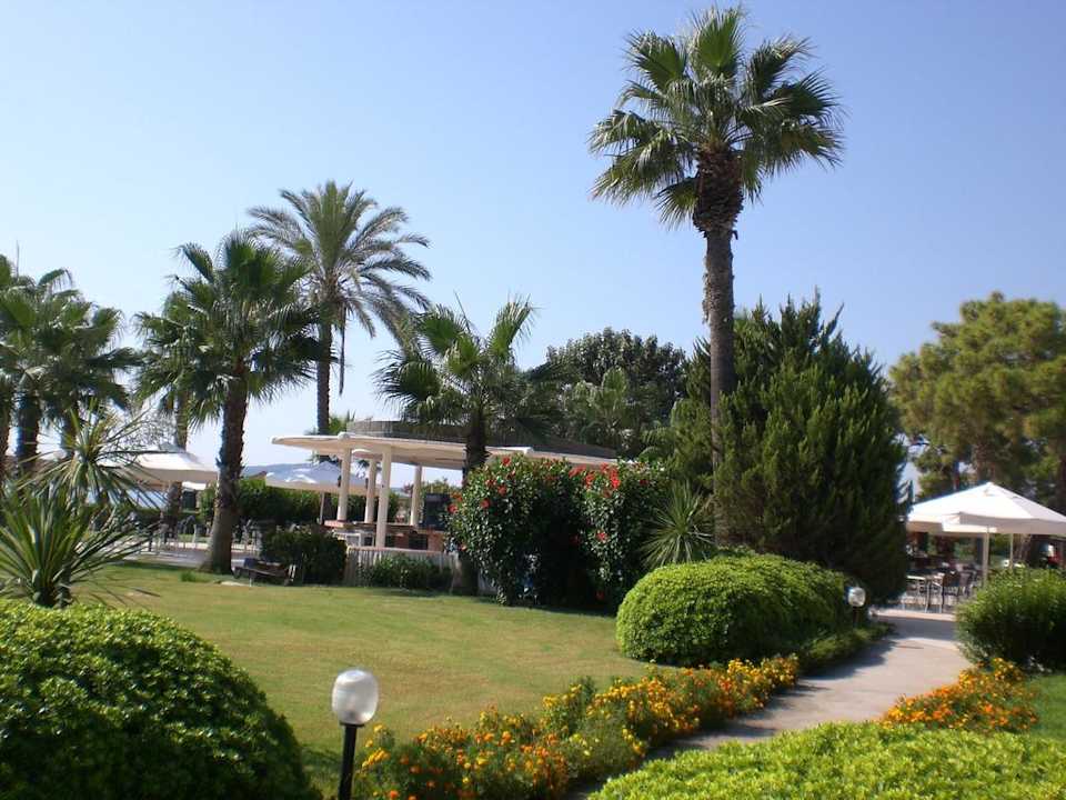 Sicht auf Poolbar Kilikya Palace Göynük