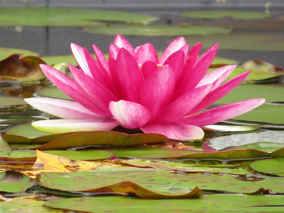 Sonstiges Hotel Residenz Bergfried