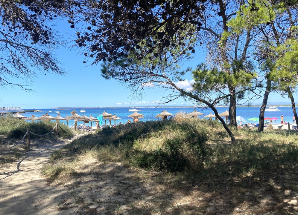 Strand Universal Hotel Cabo Blanco - Adults Only