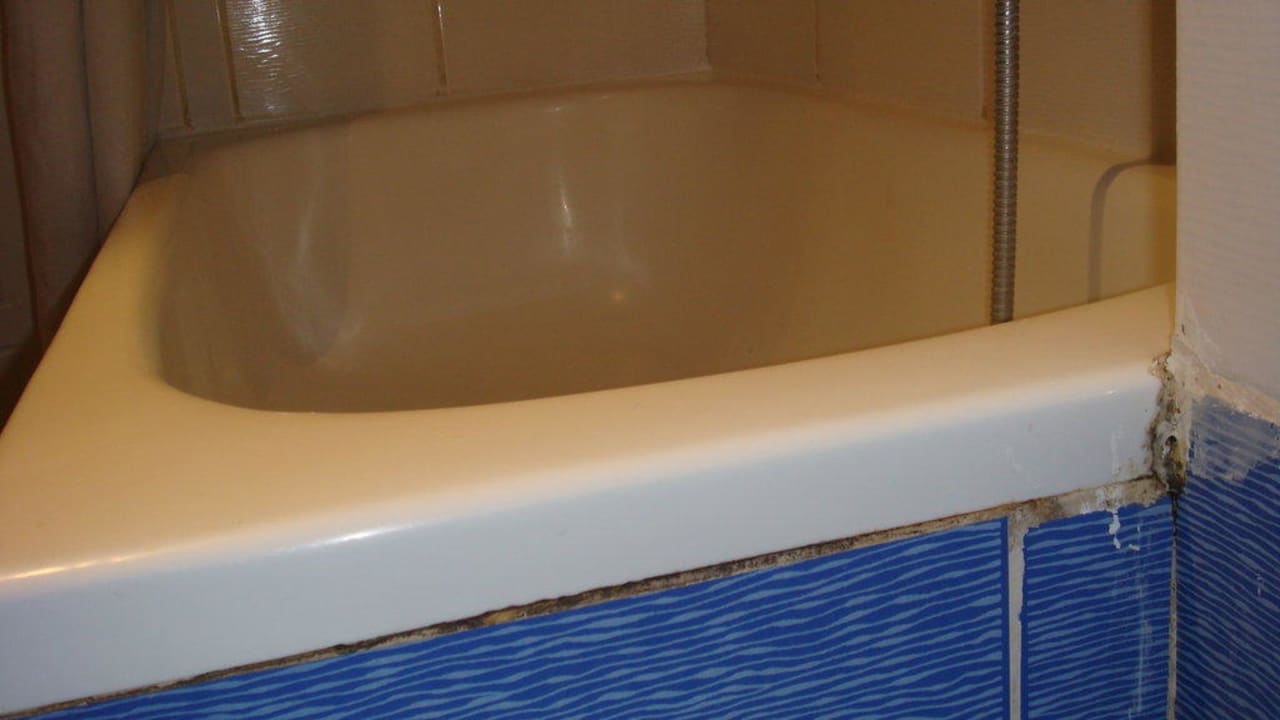 In jeder Fuge Schimmel TUI BLUE Zante Maris - Adults only