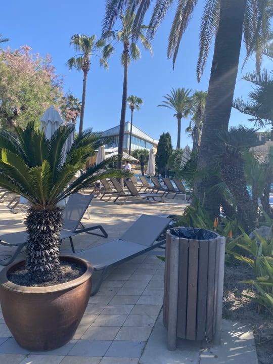 Pool PortBlue Club Pollentia Resort & Spa