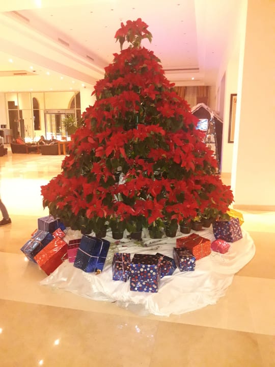 Lobby Cleopatra Luxury Resort Makadi Bay