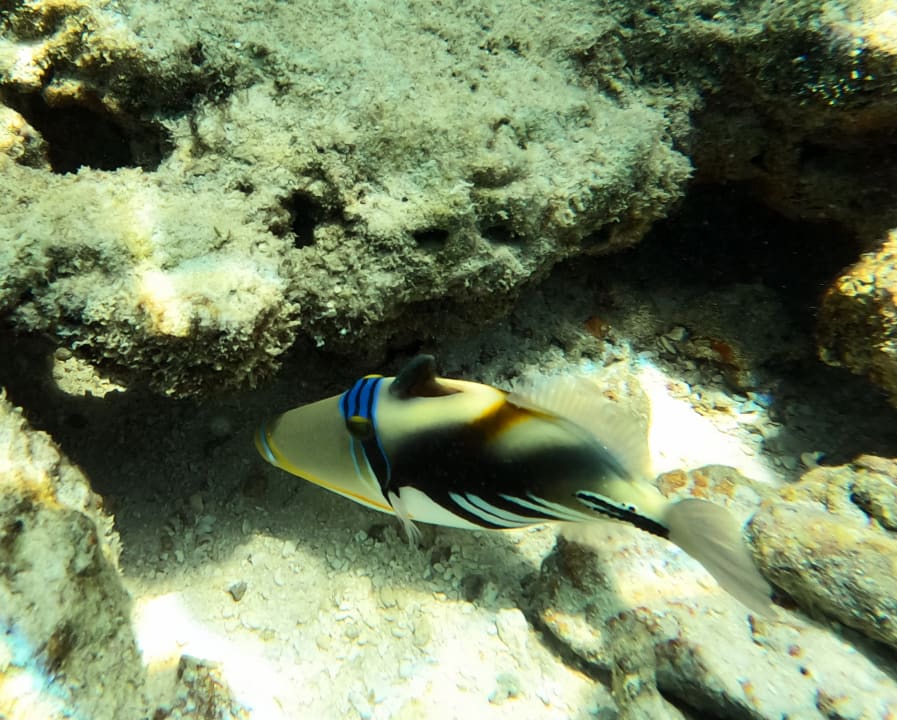 Sport & Freizeit Adaaran Club Rannalhi - All Inclusive