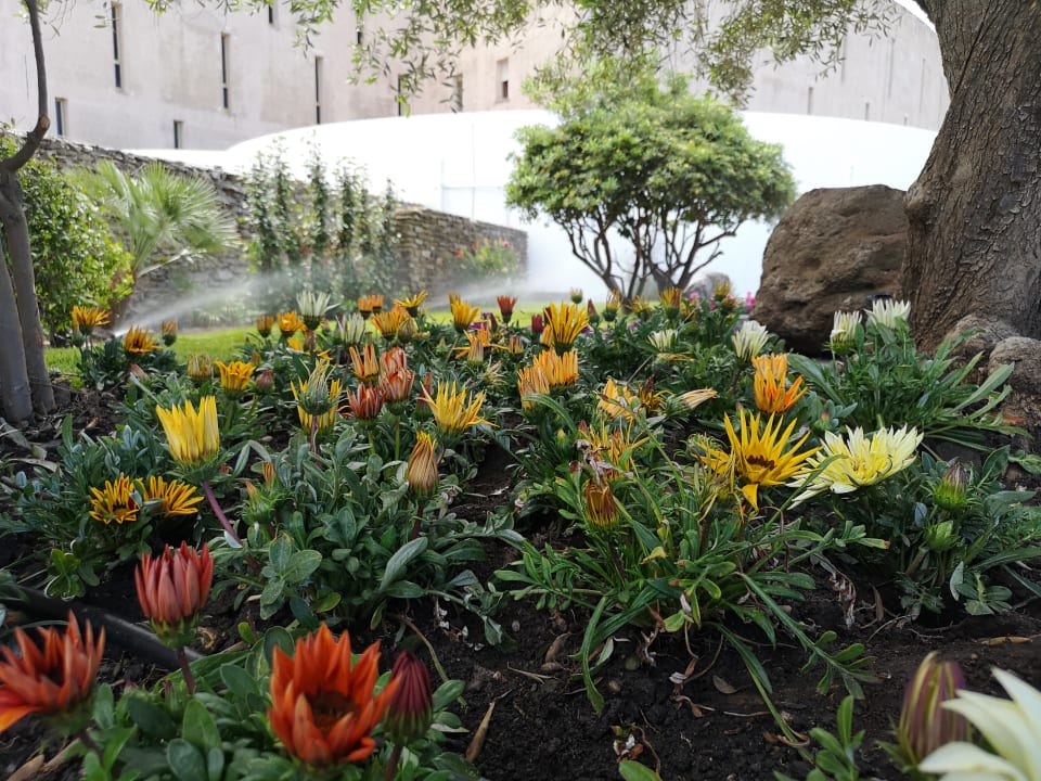 Gartenanlage Club Esse Roccaruja