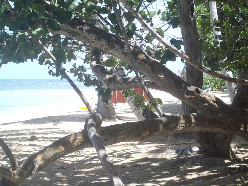 Strand und Meer Bahia Principe Grand El Portillo