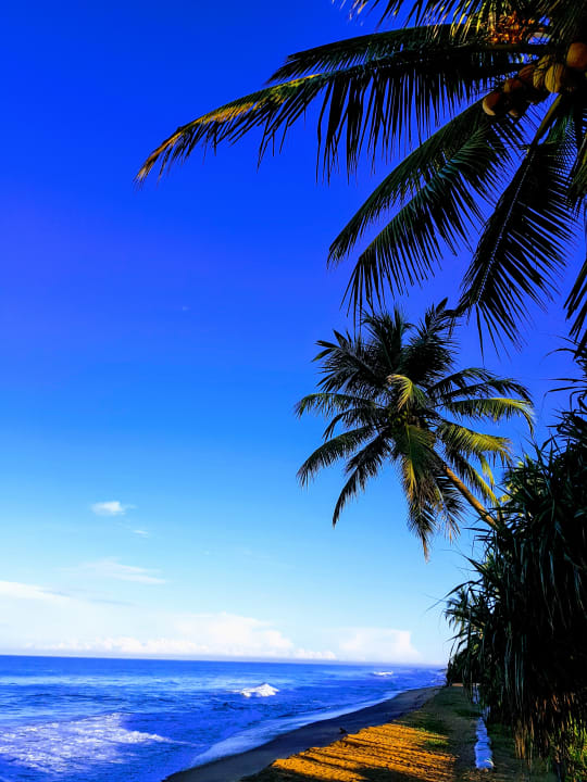 Strand Royal Palms Beach Hotel