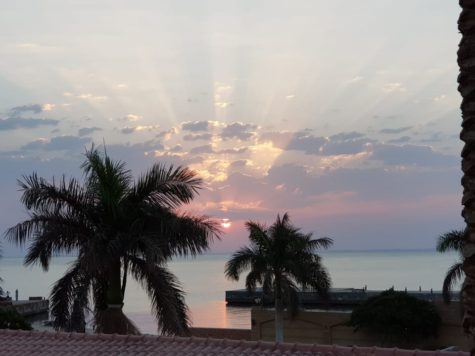 Ausblick Palm Beach Resort