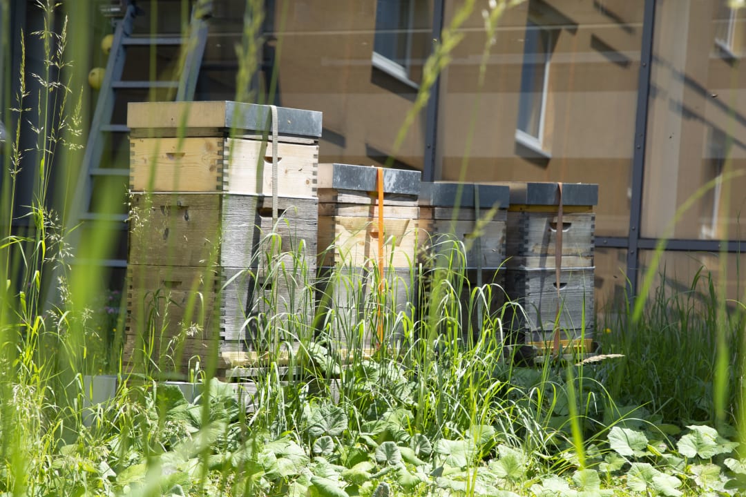 Sonstiges Hotel Donauwelle Linz