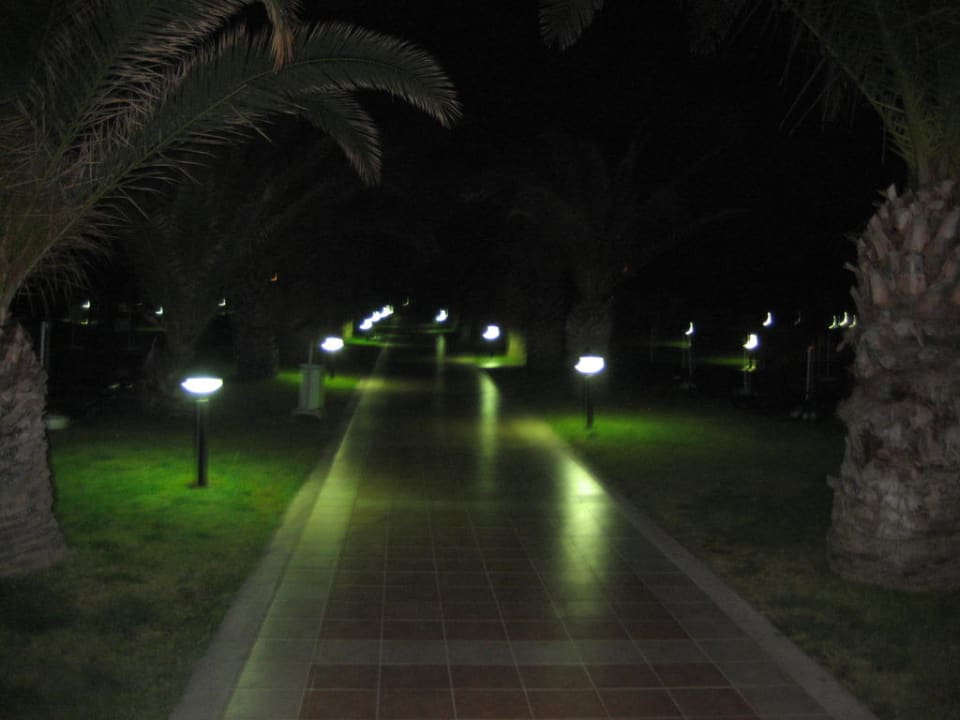 Weg zum Pool Megasaray Club Belek