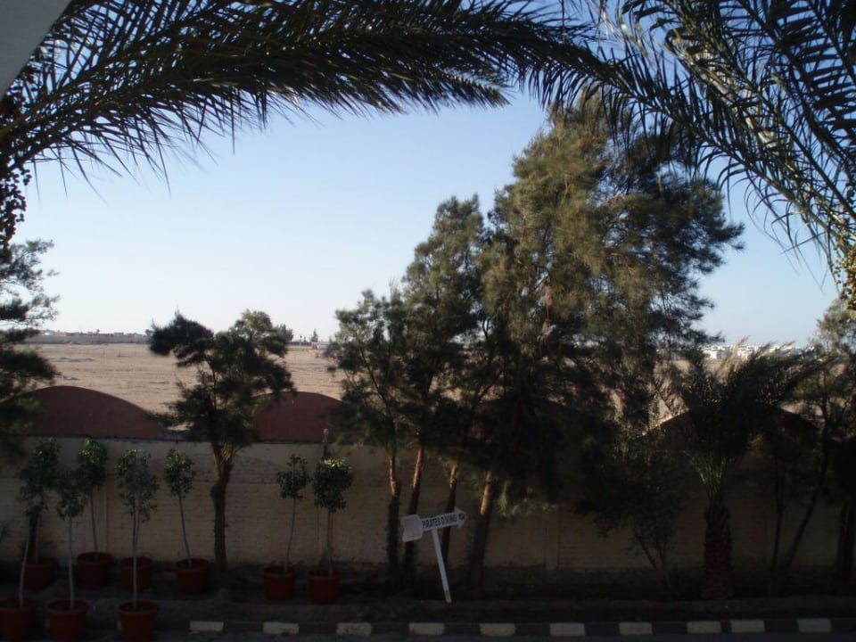 Zimmer-Aussicht Beach Albatros Resort