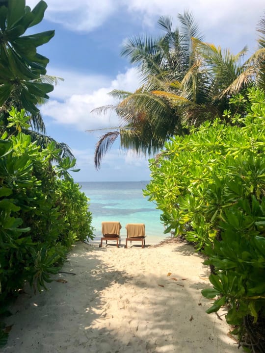 Strand Bandos Maldives