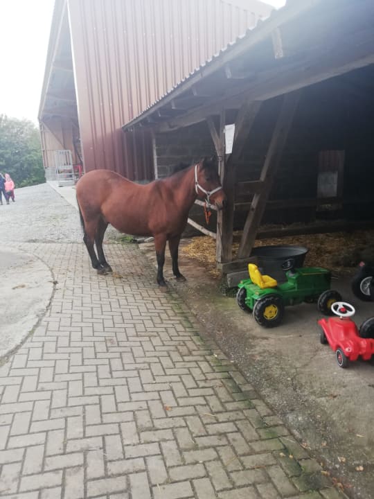 Sport & Freizeit Wiesenberghof