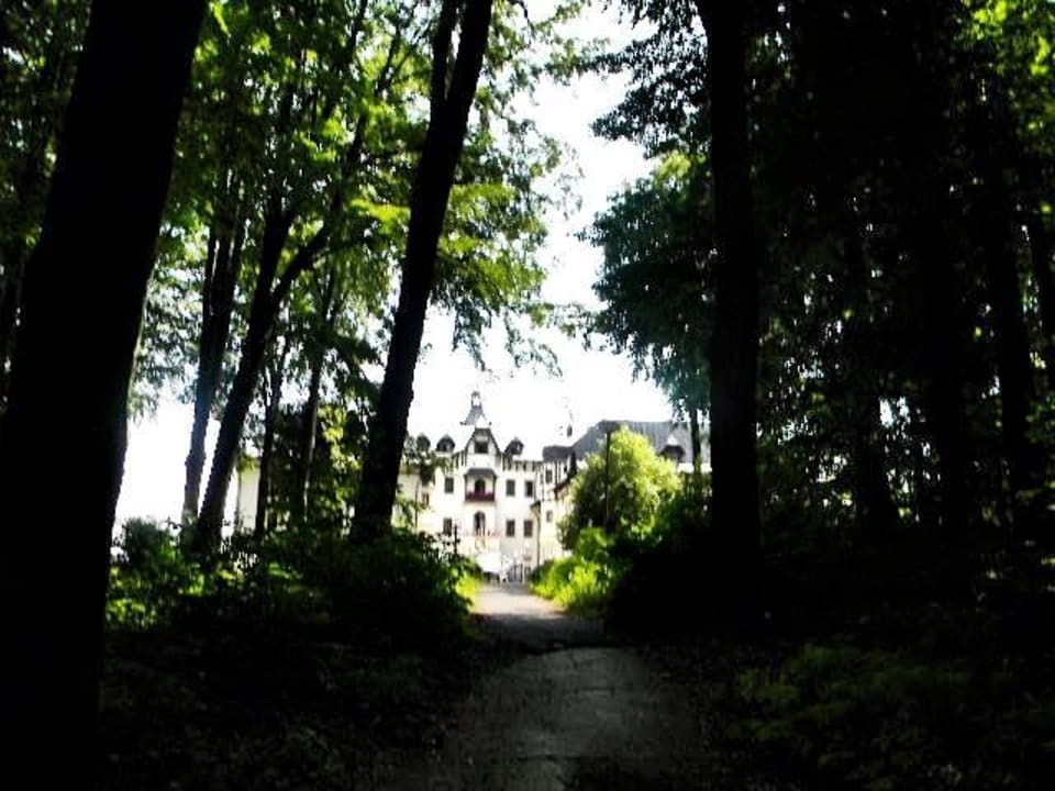 Hotel Monty vom Wald vis à vis Chateau Monty Spa Resort