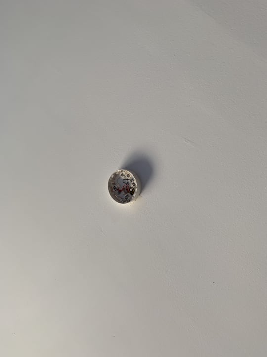 Zimmer Dream Water World