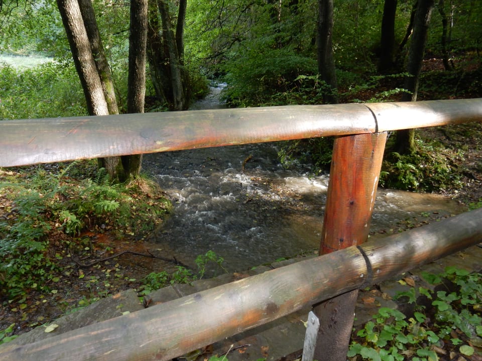 Ausblick Ferienwohnung Glörtal