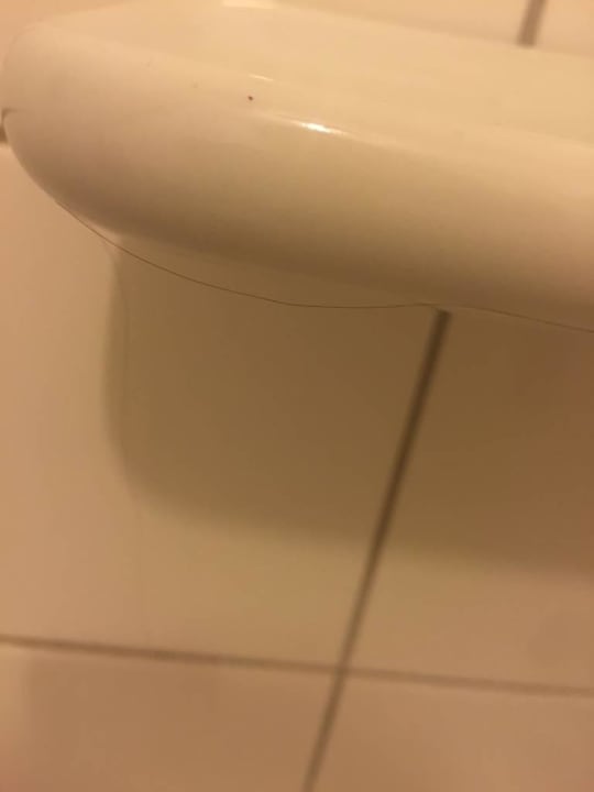 Haare im Bad Hotel Arcen