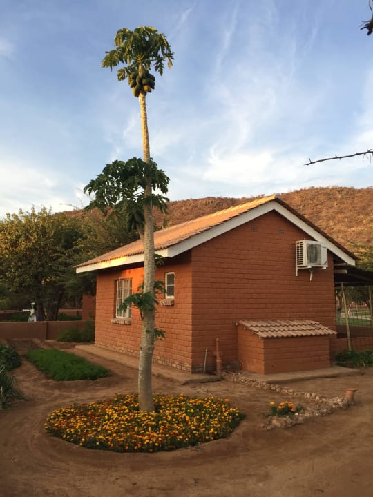 Bungalow Damara Mopane Lodge