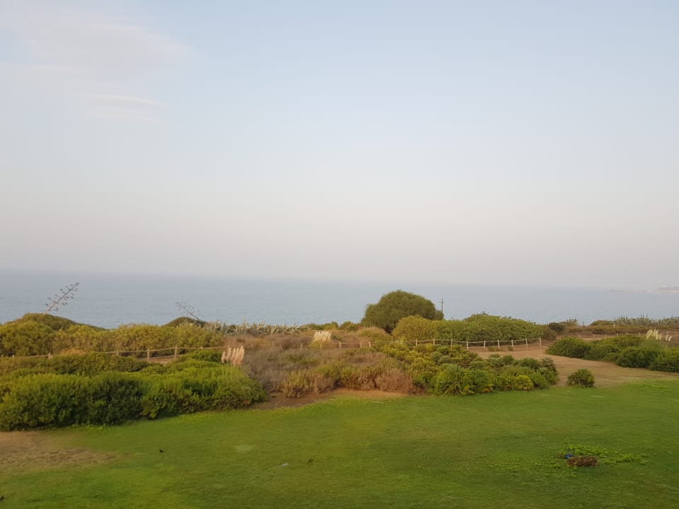 Gartenanlage Garbi Costa Luz