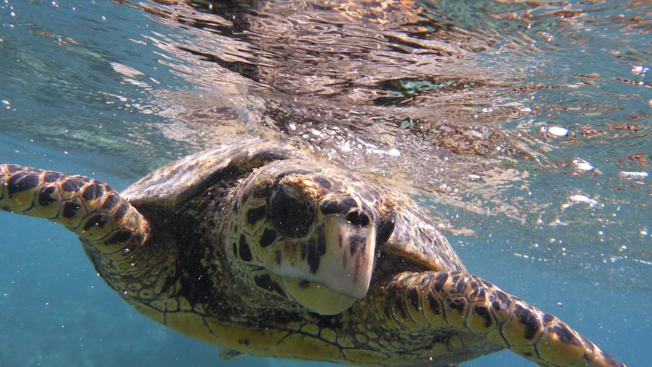 Sport & Freizeit Thulhagiri Island Resort