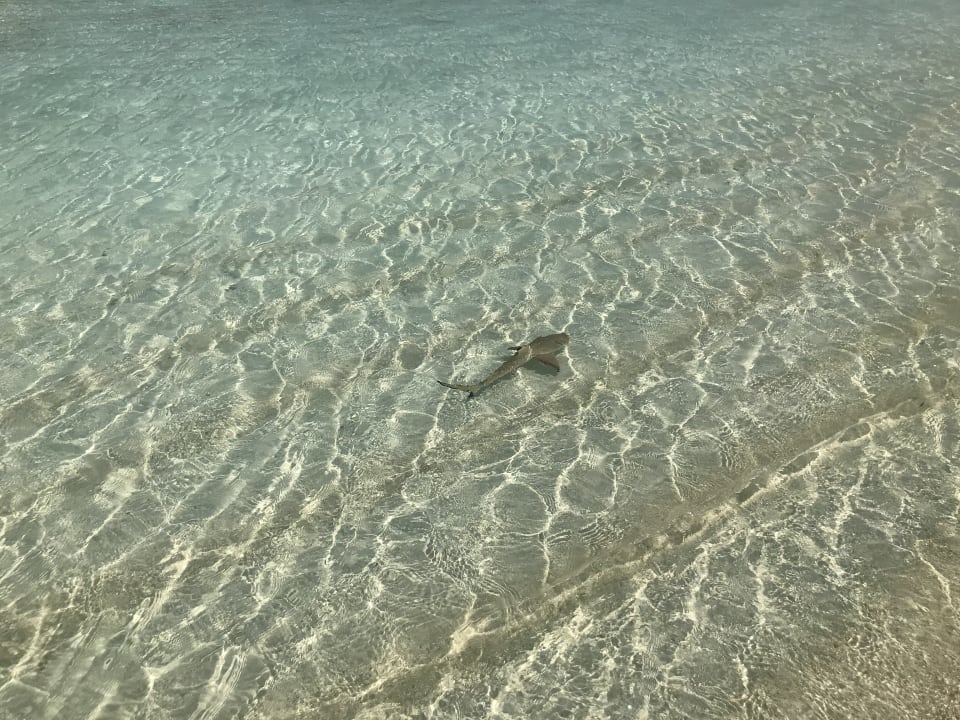 Strand Kuredu Island Resort & Spa