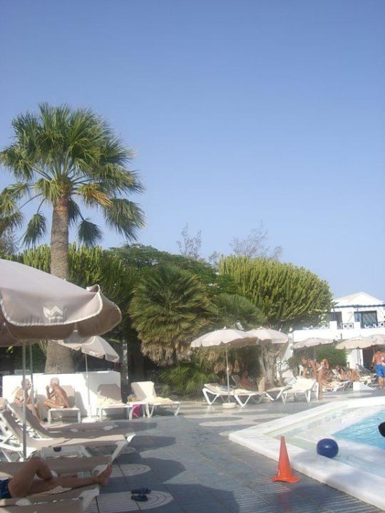 Pool Relaxia Olivina
