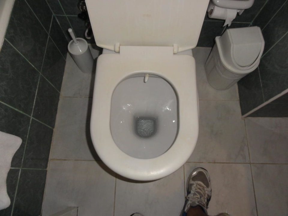 WC mit WC-Brille Paloma Oceana