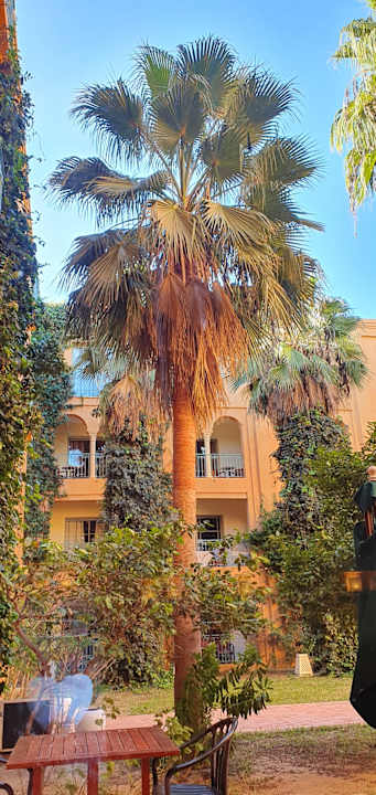 Außenansicht Hotel Alhambra Thalasso