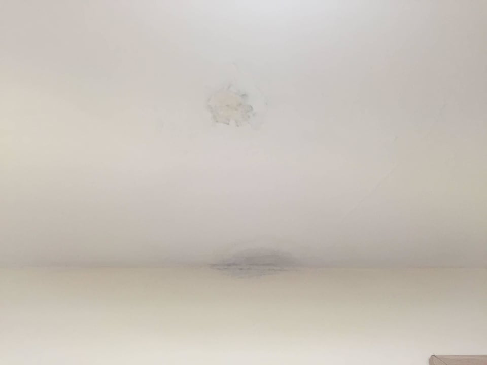 Decken und Wände! Schimmel einfach Farbe drüber AQI Pegasos World