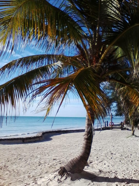 Strand TUI Blue Bahari Zanzibar