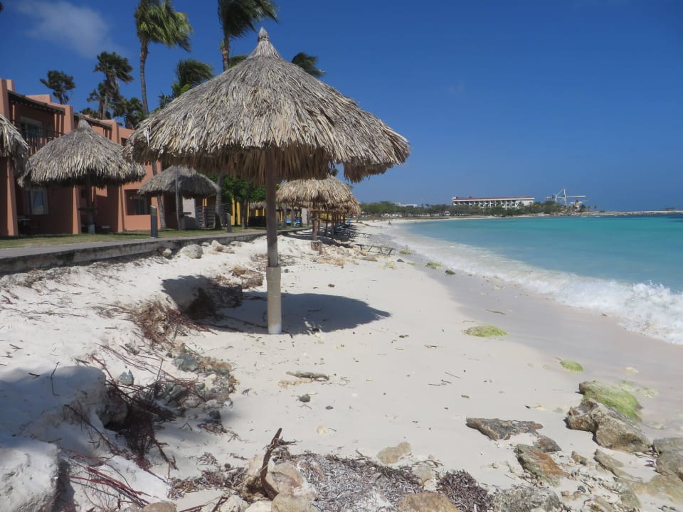 Traumstrand??? Divi Dutch Village Beach Resort