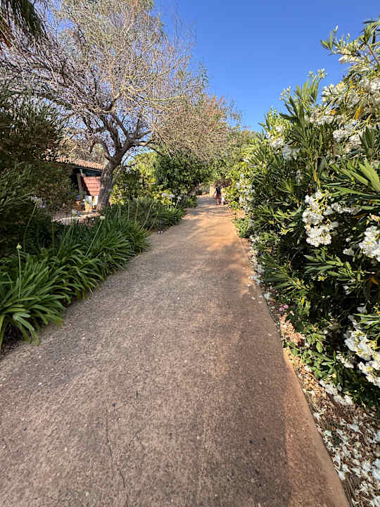Gartenanlage Zoëtry Mallorca