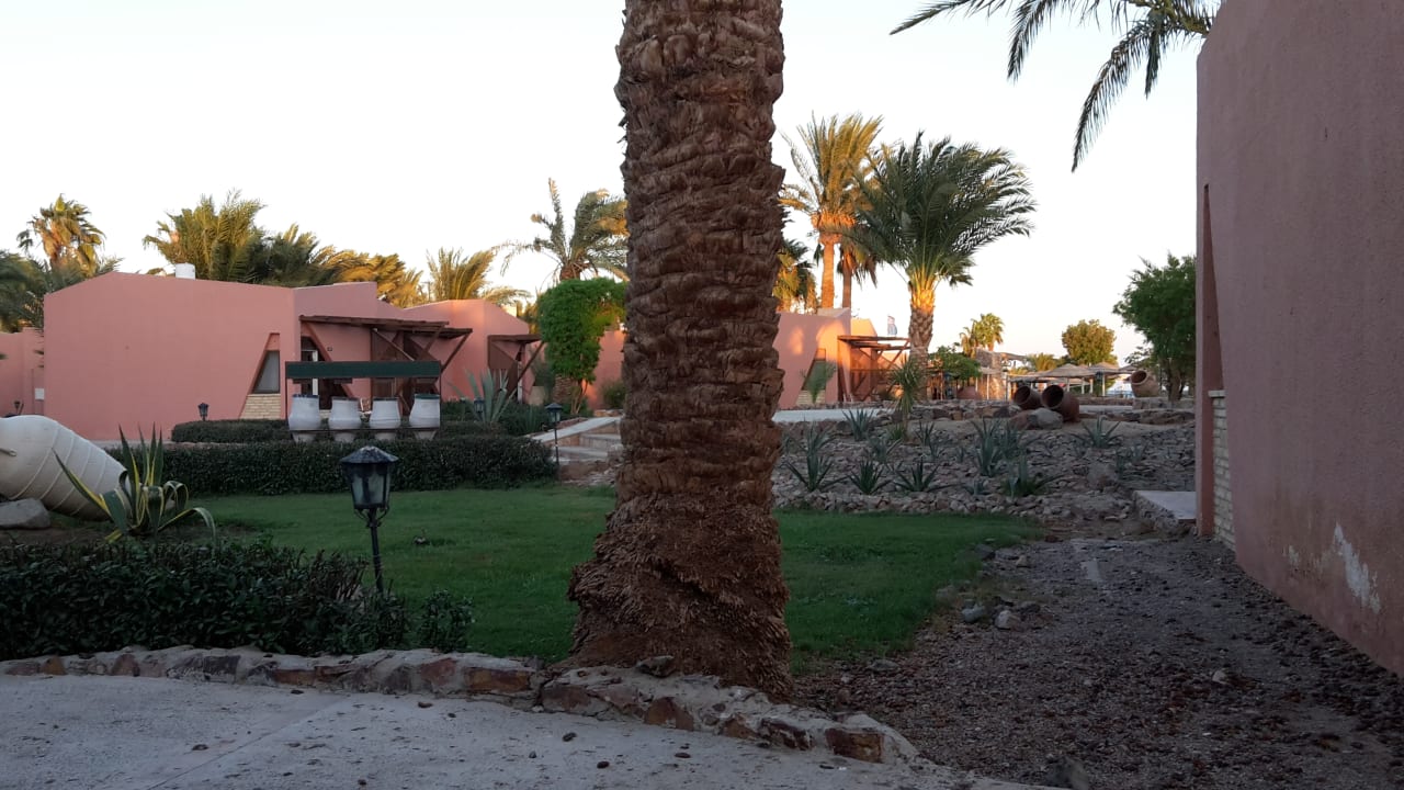 Gartenanlage Eagles Paradise Abu Soma
