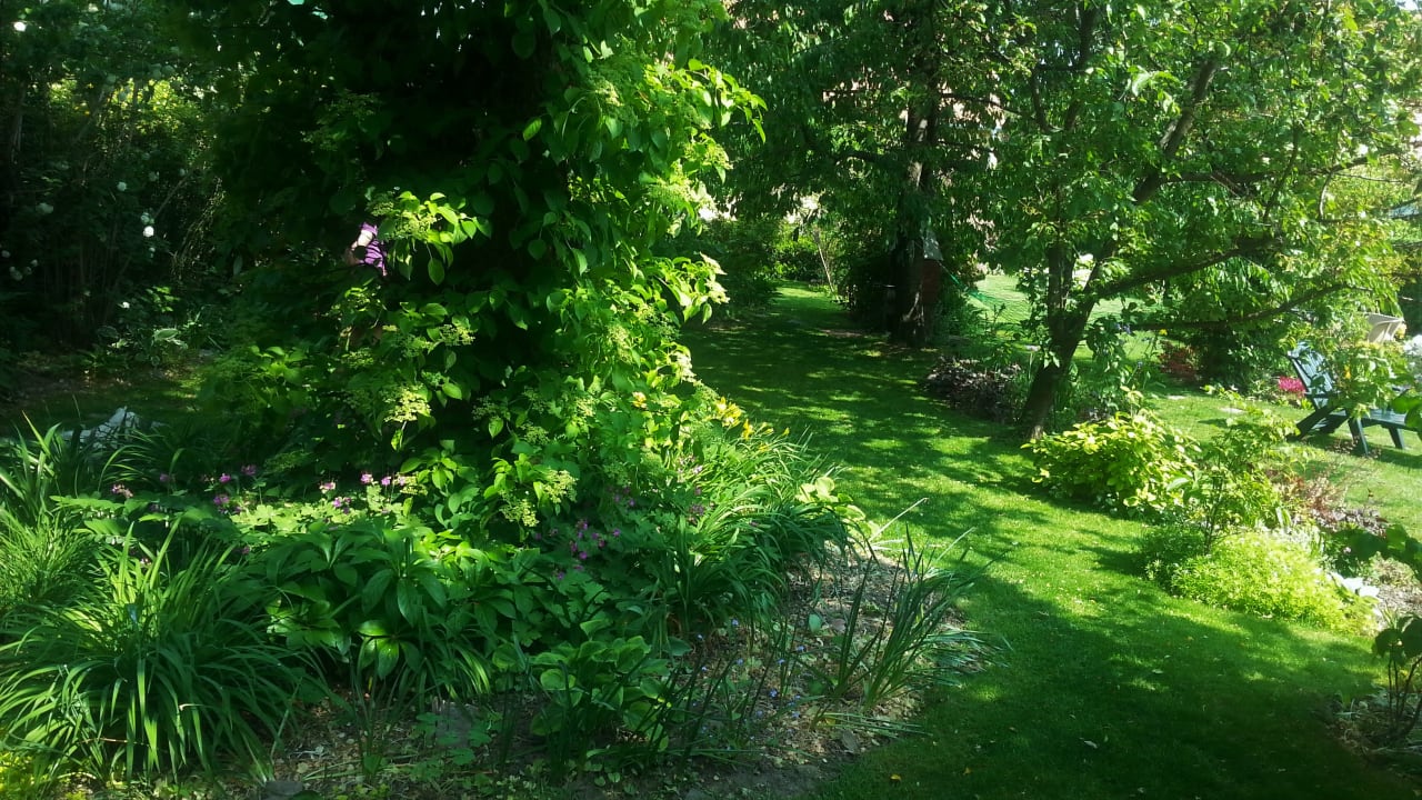 Gartenanlage Słoneczny Apartament