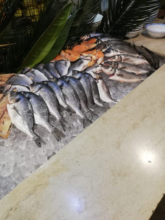 Gastro Balmy Foresta