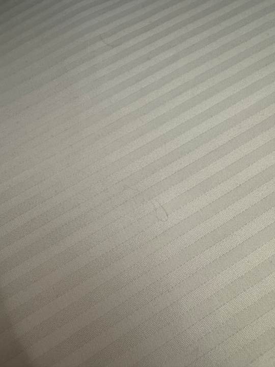 Zimmer Citadines Eurométropole Strasbourg