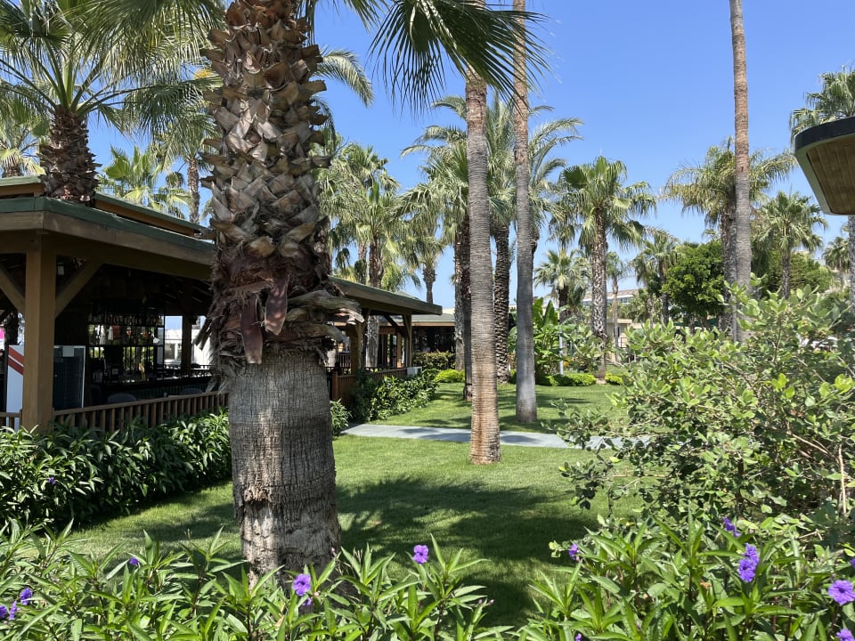 Gartenanlage Arycanda Kirman Premium