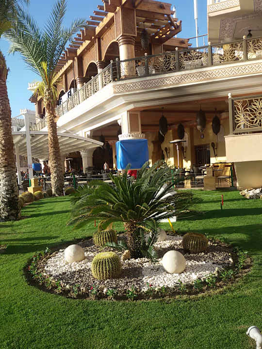 Sehr schön gemacht mit den Kakteen - alles wunderschön bepfl Pickalbatros Palace Resort