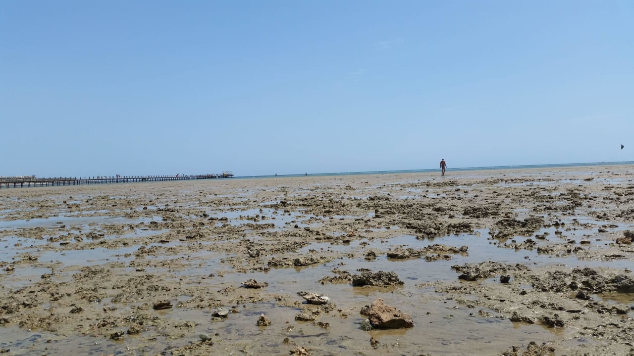 Ebbe am Riff Stella Beach Resort & Spa Makadi Bay