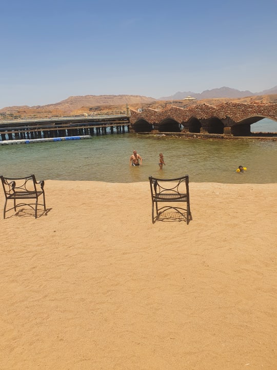 Zimmer Pickalbatros Aqua Park Resort - Sharm El Sheikh