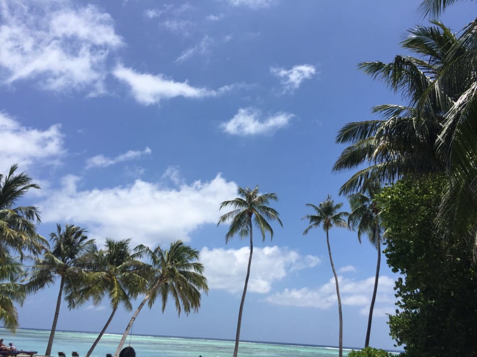 Pool Meeru Maldives Resort Island