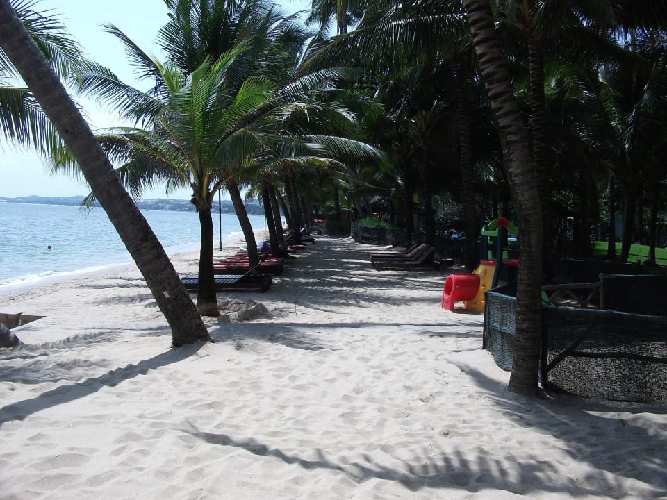 Palmenstrand Hoang Ngoc Beach Resort