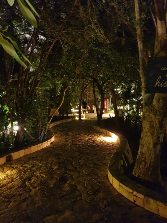 Gartenanlage Catalonia Royal Tulum Beach & Spa Resort - Adults only