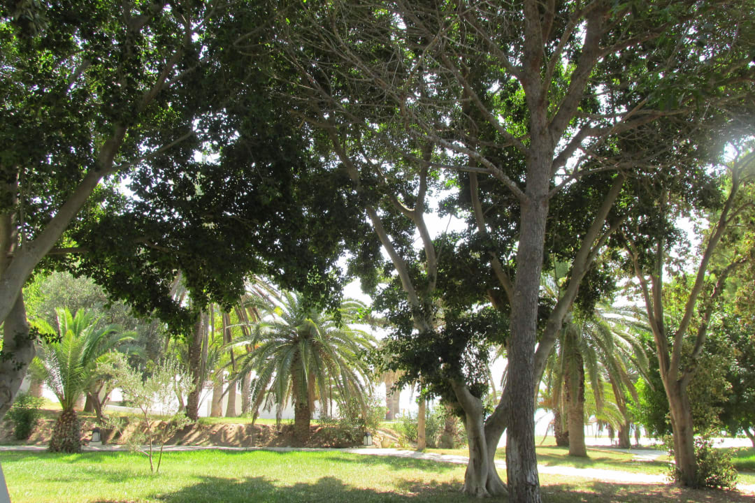 Parkähnlicher Garten Hotel Bel Azur Thalasso & Bungalows