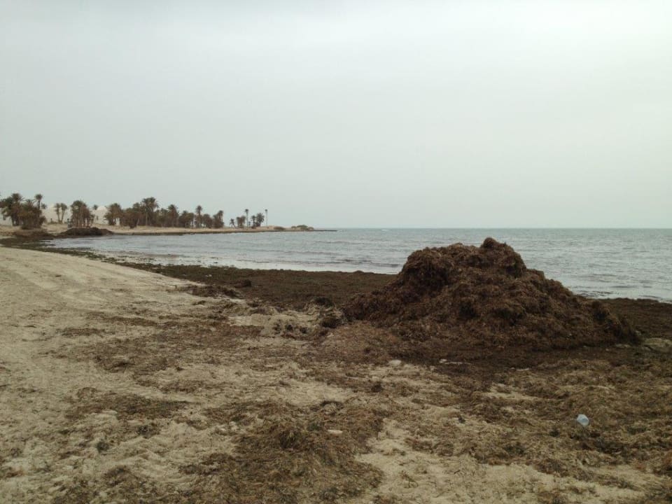 Strand Hotel El Mouradi Djerba Menzel