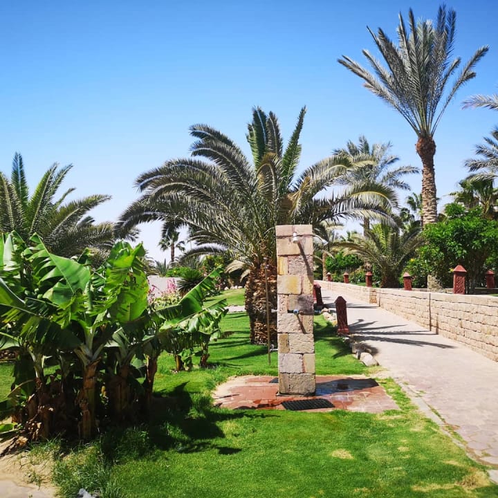 Gartenanlage Fort Arabesque Resort, Spa & Villas