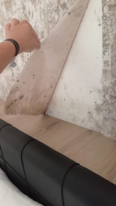 Zimmer GRAND KOLİBRİ PRESTİGE