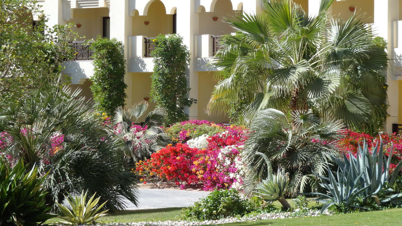 Pflanzen Steigenberger ALDAU Beach Hotel