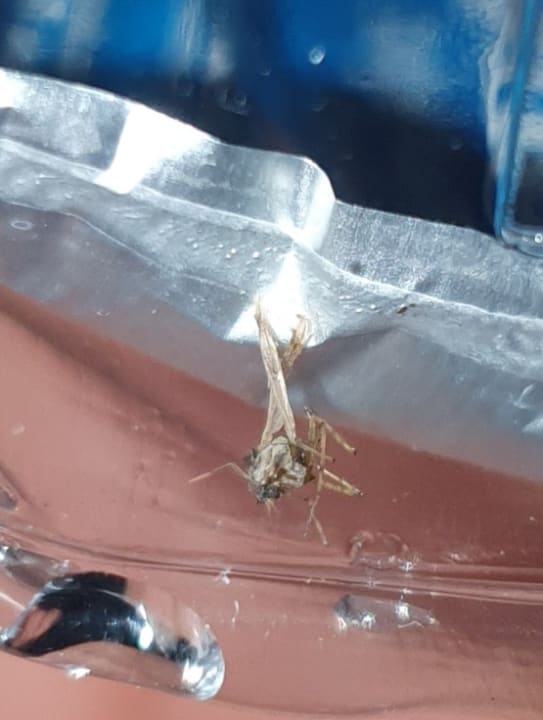 Zimmer Tusan Beach Resort