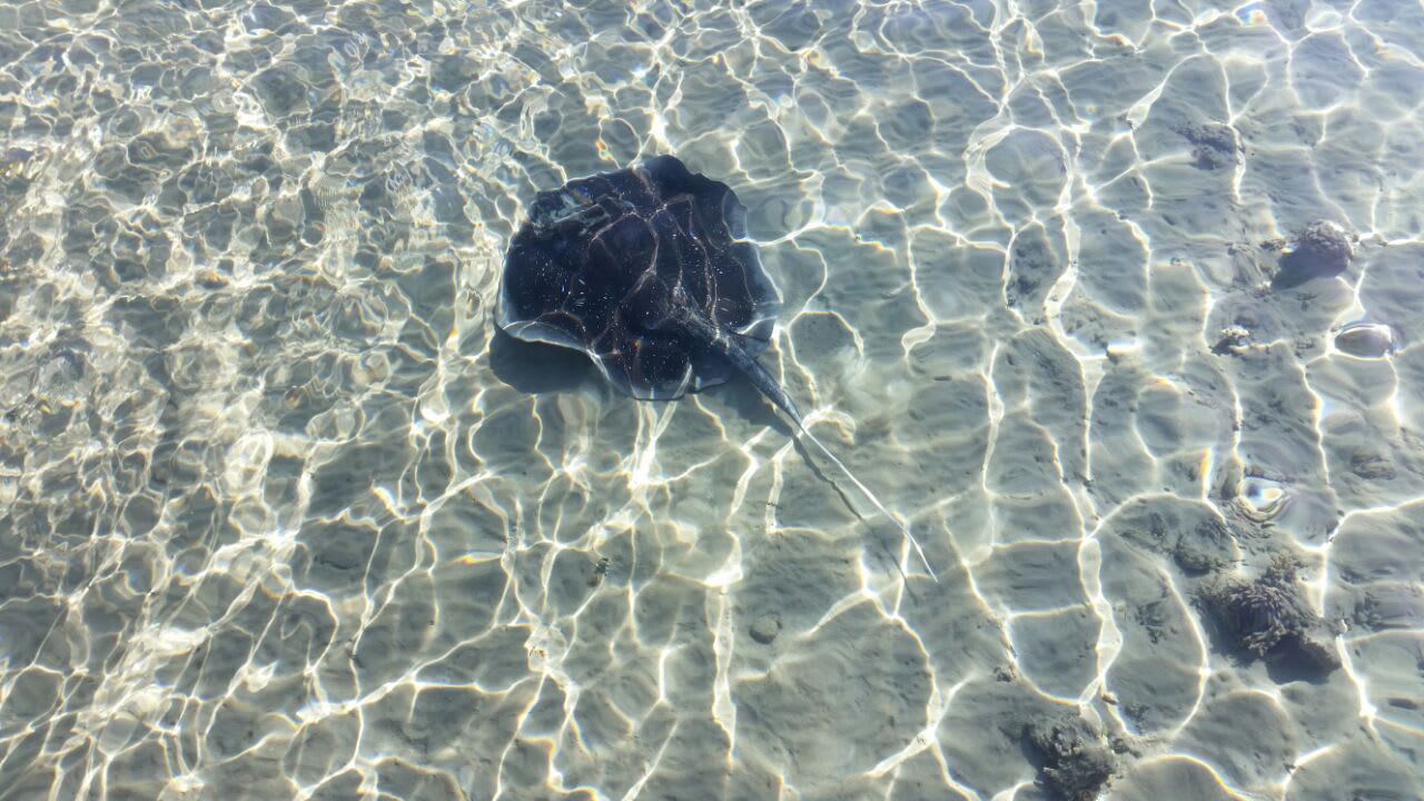 Strand Cleopatra Luxury Resort Makadi Bay