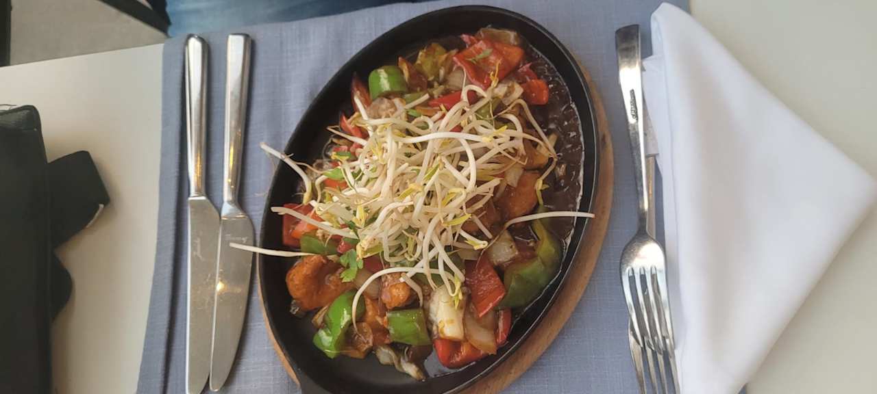 Gastro Seashell Vega